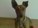 DSC00145