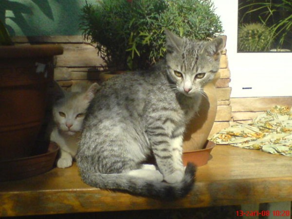 DSC00151
