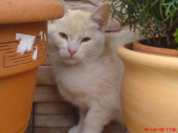 DSC00161