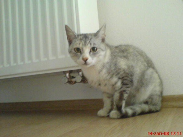 DSC00172